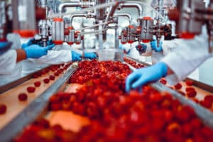 Food And Beverage Facility. Sorting fruit. - Bohden Contracting Group