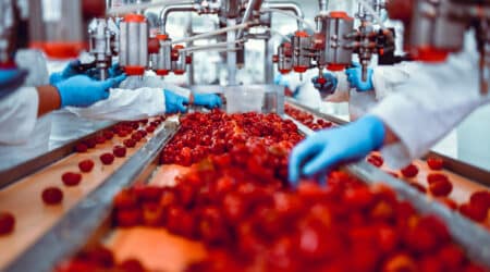 Food And Beverage Facility. Sorting fruit. - Bohden Contracting Group
